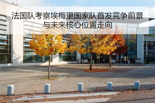 法国队考察埃梅里国家队首发竞争前景与未来核心位置走向（kaiyun）